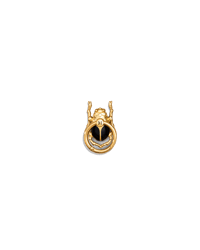 The Beetle Ring